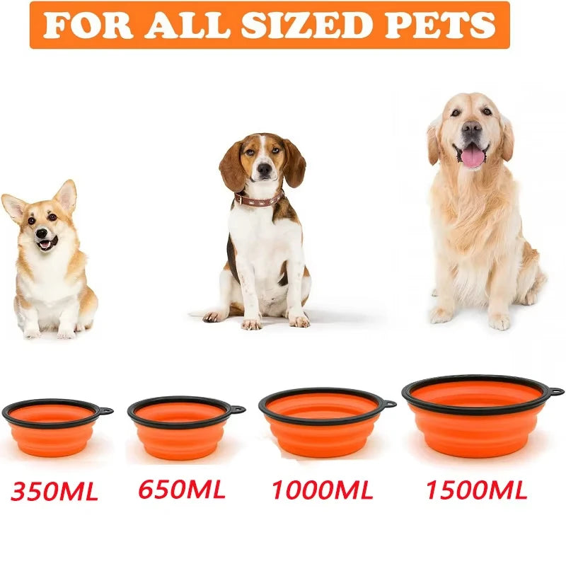 Comedero Portátil Plegable 2 en 1 para Perros y Gatos – Tazón de Silicona con Mosquetón para Viajes
