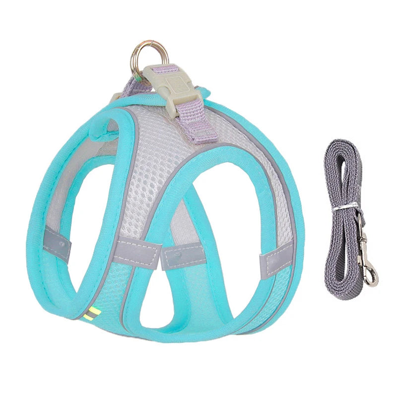 Arnés con Correa para Perros Pequeños y Gatos | Chaleco Ajustable Reflectante | Set Arnés + Correa para Chihuahua, Pug y Bulldog Francés