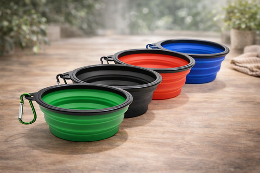 Comedero Portátil Plegable 2 en 1 para Perros y Gatos – Tazón de Silicona con Mosquetón para Viajes