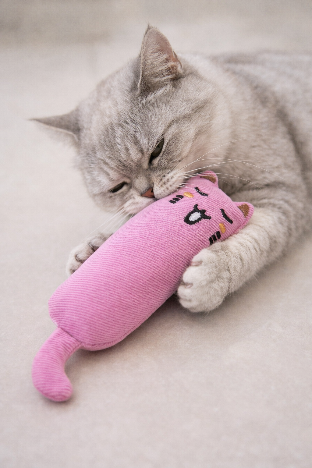 Juguete de Gato con Catnip – Almohadilla Suave Crujiente para Morder y Jugar