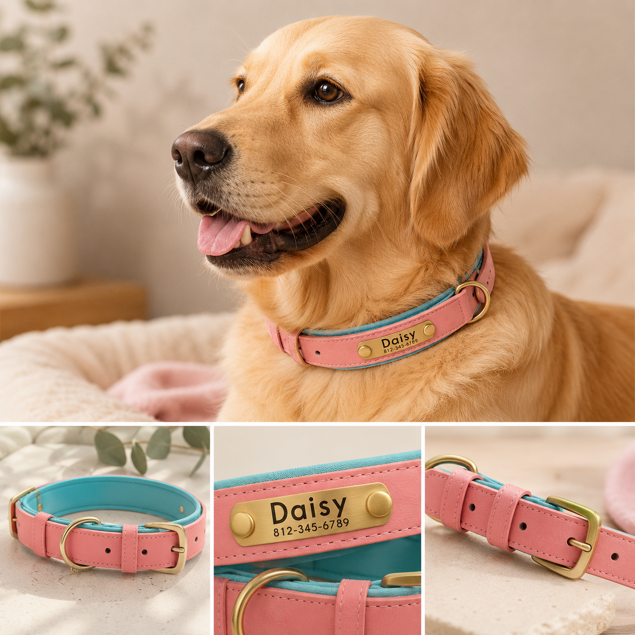 Collar y correa para perro personalizados | Cuero acolchado con placa grabada