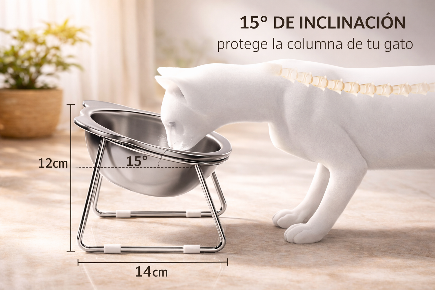 Comedero Elevado para Gatos 15° – Cuenco de Acero Inoxidable 304 Antideslizante y Antivuelco