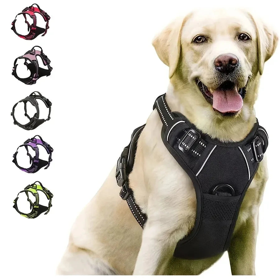 Arnés para perros con correa | Set cómodo y resistente para paseo