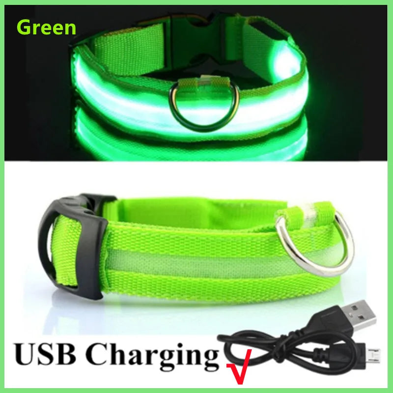 Collar LED Luminoso Recargable USB para Perros y Gatos – Ajustable, Seguro y Visible de Noche