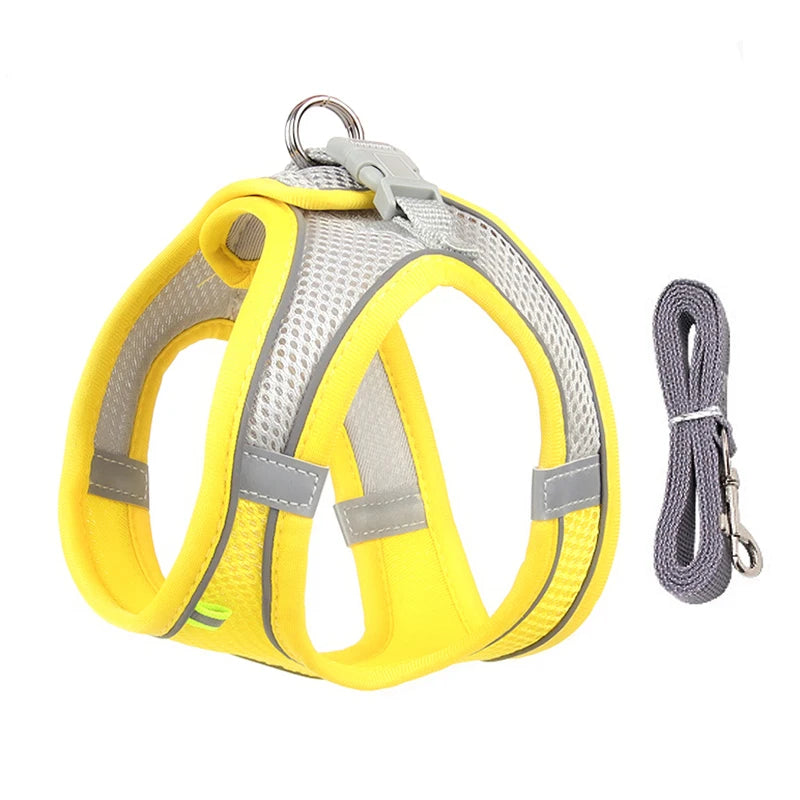 Arnés con Correa para Perros Pequeños y Gatos | Chaleco Ajustable Reflectante | Set Arnés + Correa para Chihuahua, Pug y Bulldog Francés