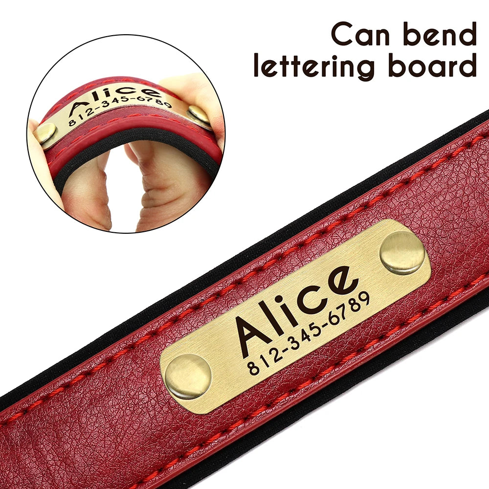 Collar y correa para perro personalizados | Cuero acolchado con placa grabada