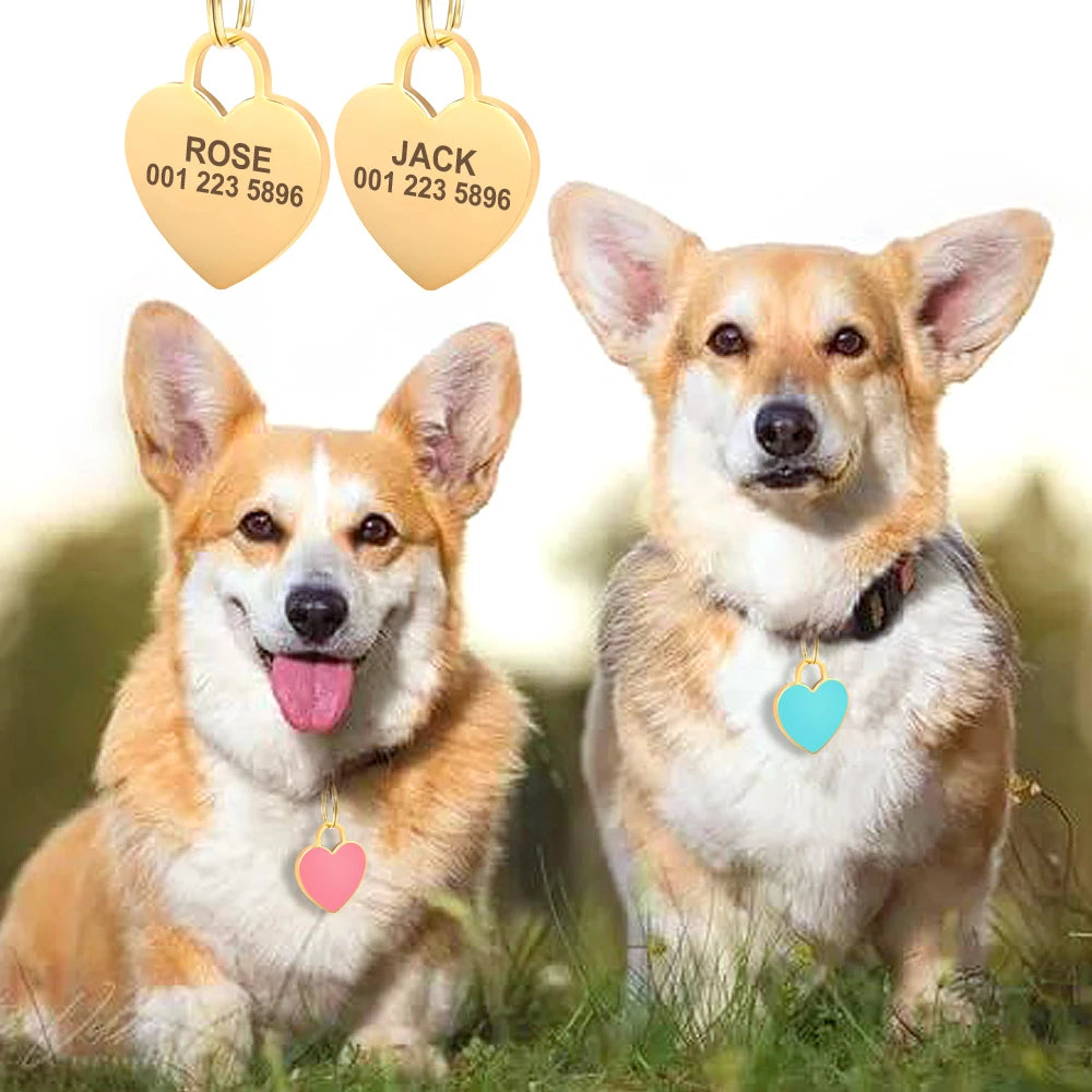 Chapa Identificadora Personalizada para Perros y Gatos con Brillantes – Grabado Gratis y Antipérdida