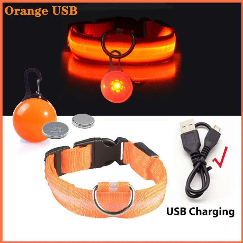 Collar Luminoso LED para Perros y Gatos | Reflectante, Ajustable y Seguro para la Noche