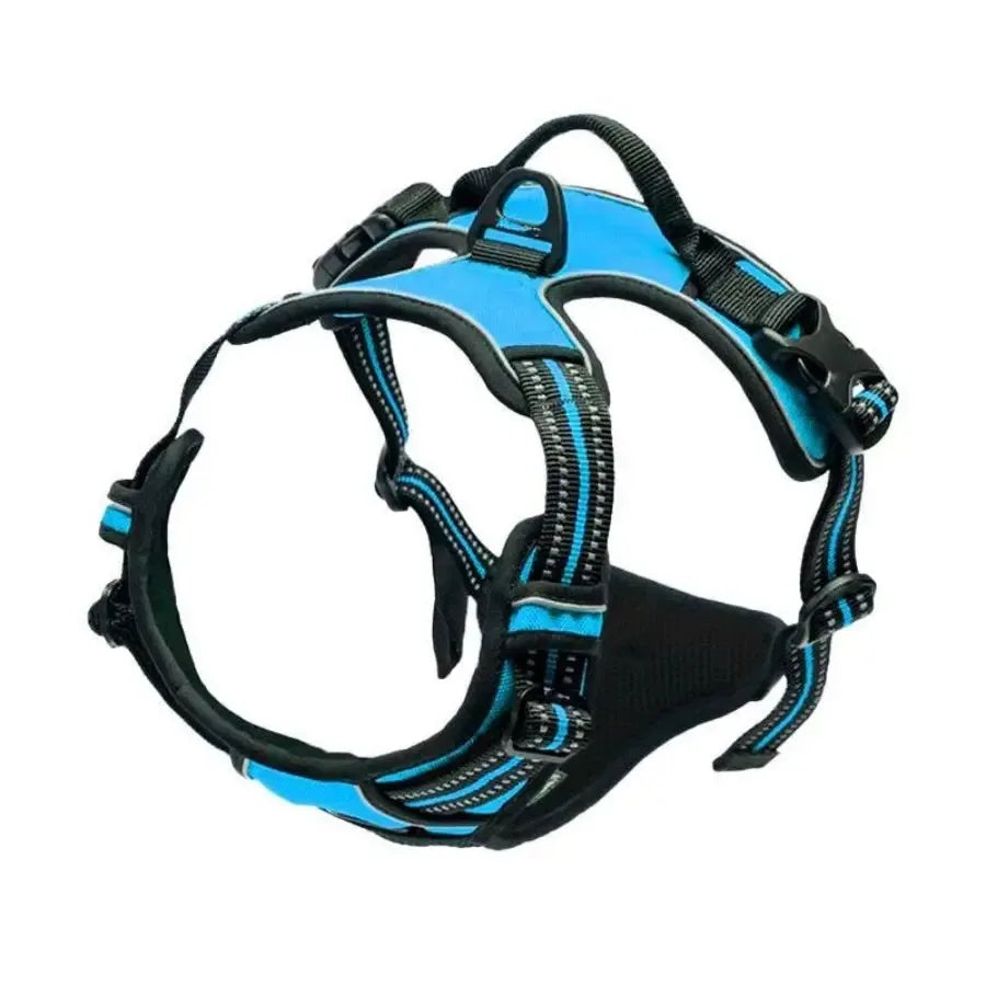 Arnés para perros con correa | Set cómodo y resistente para paseo