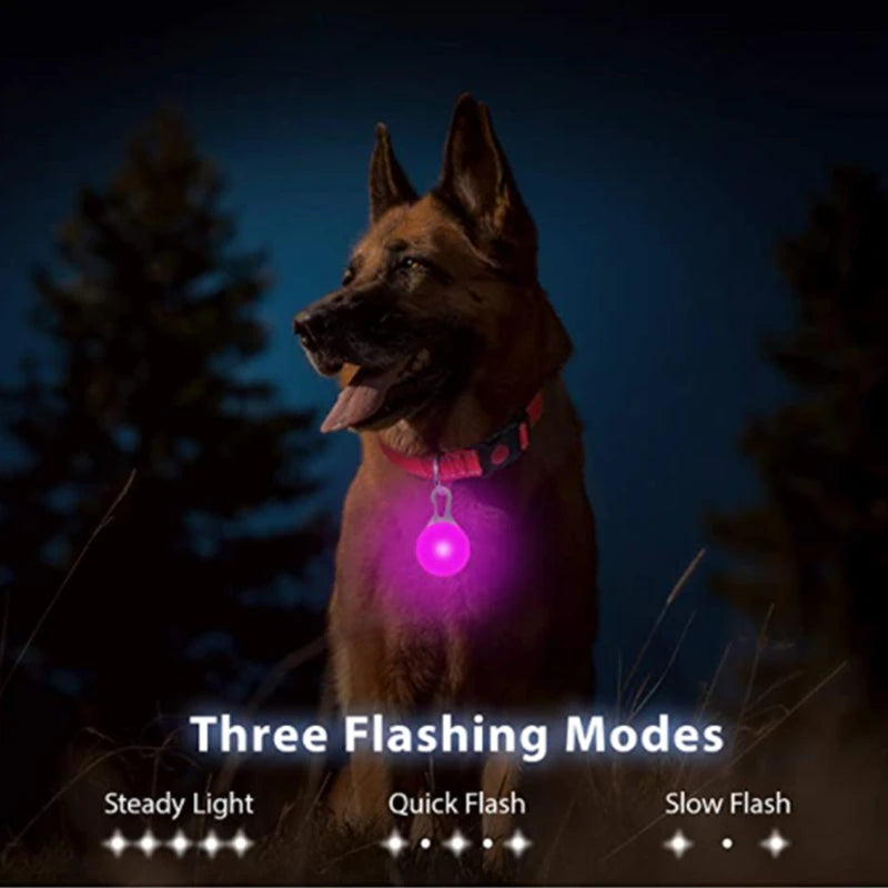 Collar Luminoso LED para Perros y Gatos | Reflectante, Ajustable y Seguro para la Noche