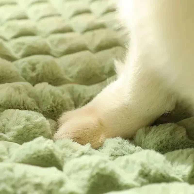Cama Ortopédica para Perros con Funda Removible – Cojín Suave Lavable a Máquina