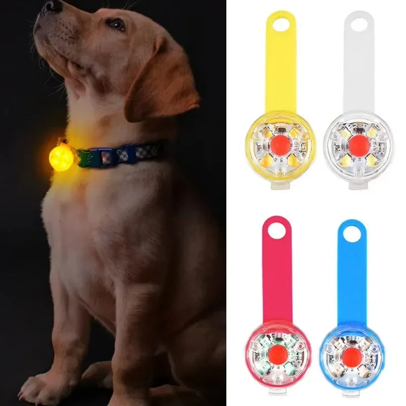 Collar LED de Seguridad para Perros y Gatos – Recargable por USB y Resistente al Clima