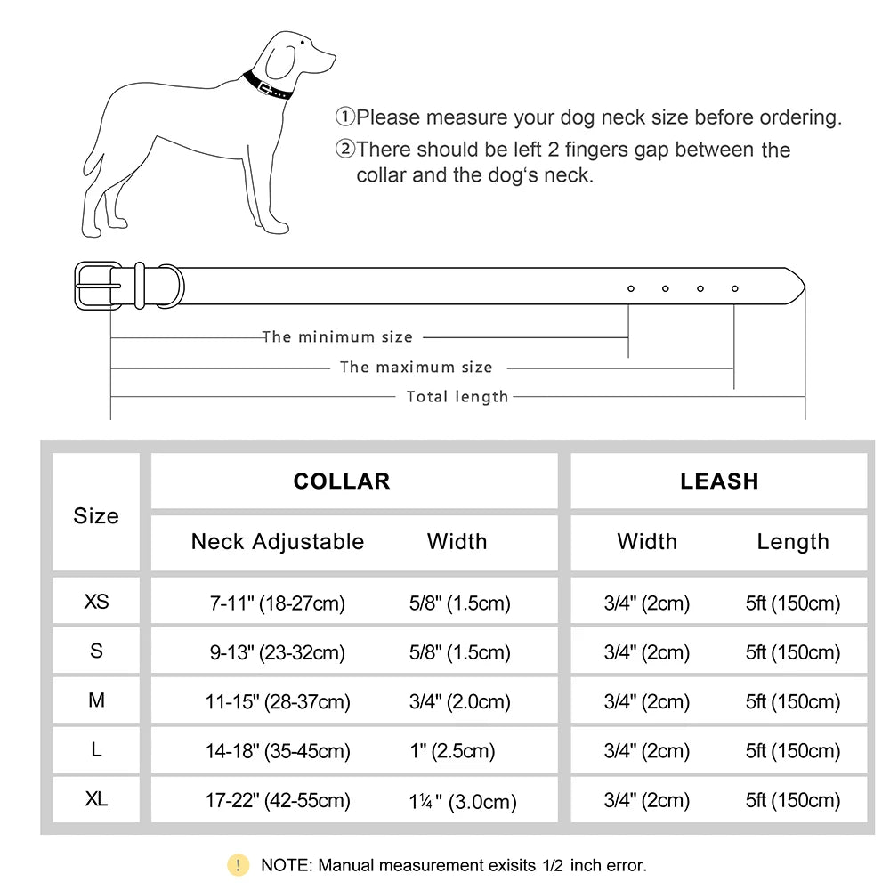 Collar y correa para perro personalizados | Cuero acolchado con placa grabada