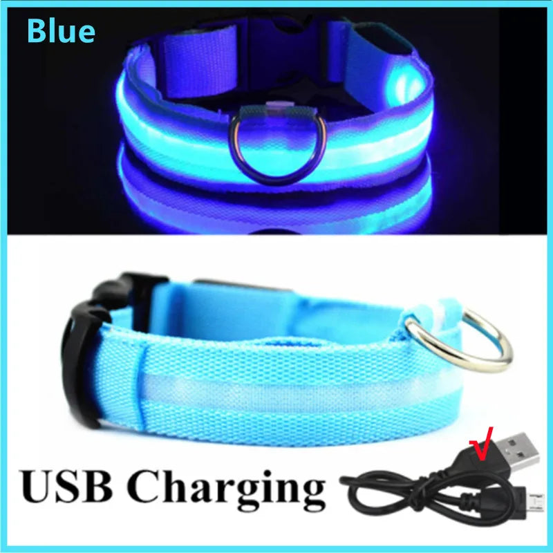 Collar LED Luminoso Recargable USB para Perros y Gatos – Ajustable, Seguro y Visible de Noche