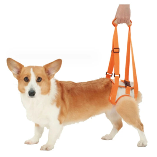 Arnés de Soporte Trasero para Perros Ajustable | Arnés Elevador para Patas Traseras y Cadera | Ayuda para Rehabilitación y Movilidad Canina