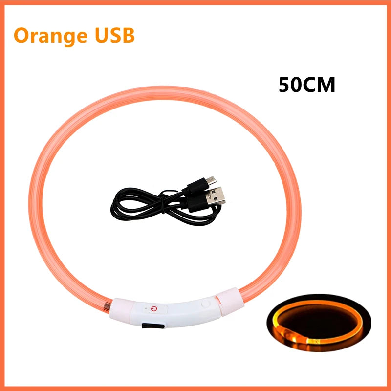 Collar LED Luminoso Recargable USB para Perros y Gatos – Ajustable, Seguro y Visible de Noche