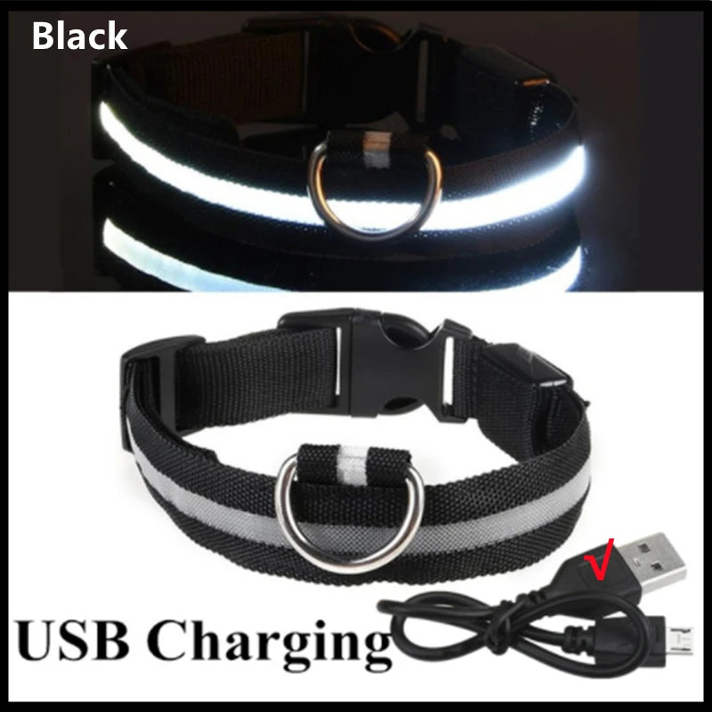 Collar LED Luminoso Recargable USB para Perros y Gatos – Ajustable, Seguro y Visible de Noche