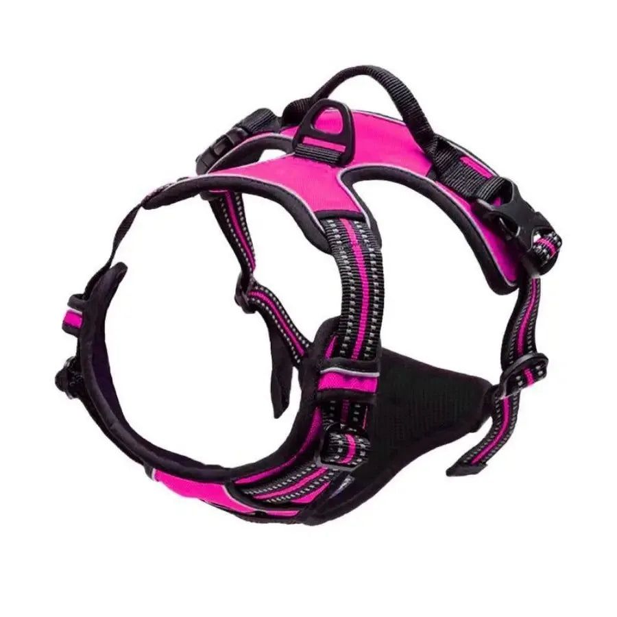 Arnés para perros con correa | Set cómodo y resistente para paseo