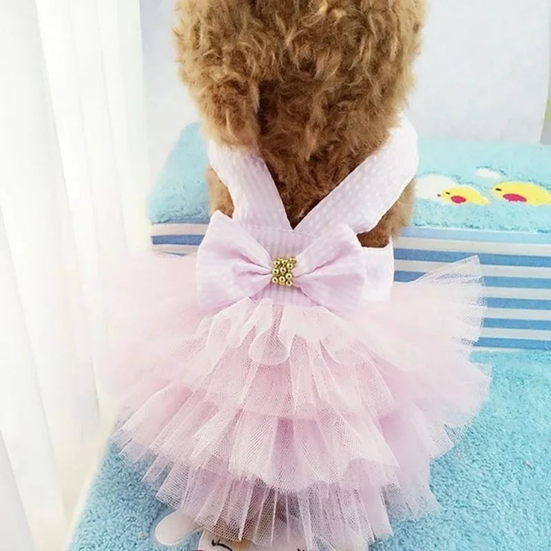 Vestido para Perros y Mascotas con Lazo y Falda Tutu | Disfraz Princesa de Verano | Ropa Elegante para Perros Pequeños y Cachorros