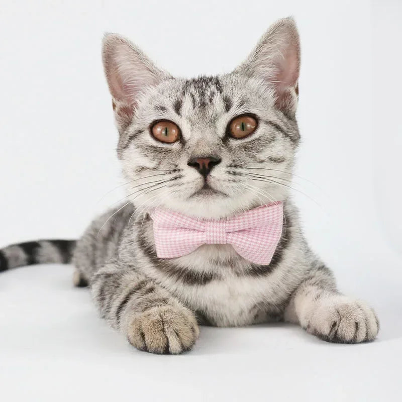 Collar para Gato con Pajarita Ajustable | Diseño Cuadros, Ligero y Cómodo para Mascota
