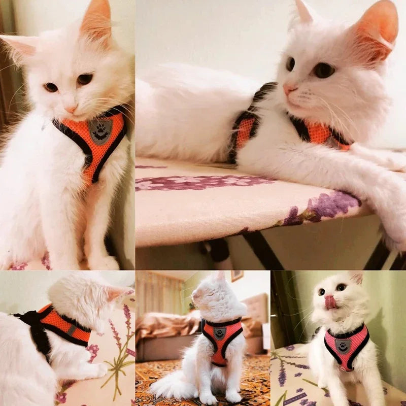 Arnés para Gatos y Perros Pequeños Ajustable y Transpirable con Correa