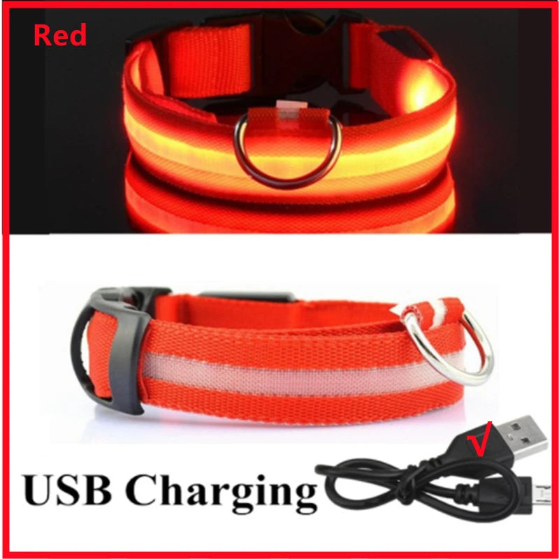 Collar LED Luminoso Recargable USB para Perros y Gatos – Ajustable, Seguro y Visible de Noche