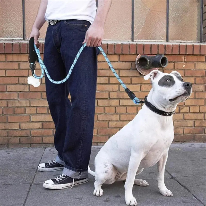Correa Reflectante para Perros 150/200/300cm – Correa de Nylon Resistente con Mango Acolchado para Perros Pequeños, Medianos y Grandes