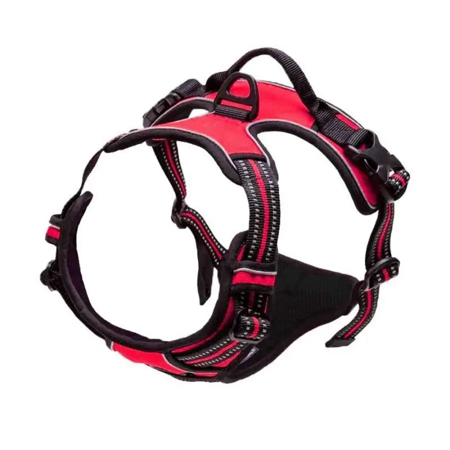 Arnés para perros con correa | Set cómodo y resistente para paseo