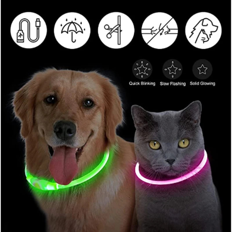 Collar LED Luminoso Recargable USB para Perros y Gatos – Ajustable, Seguro y Visible de Noche