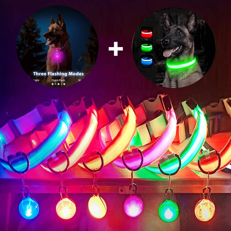 Collar Luminoso LED para Perros y Gatos | Reflectante, Ajustable y Seguro para la Noche