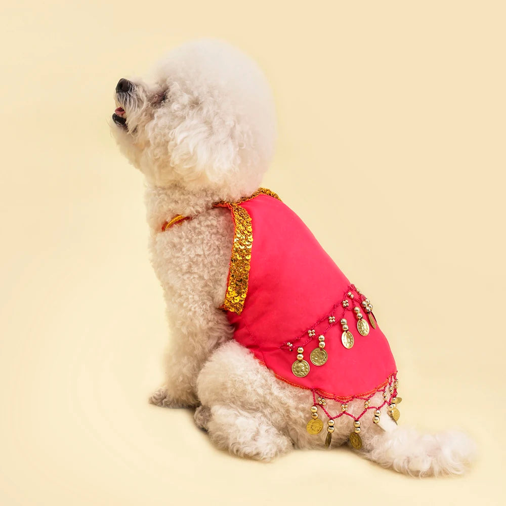 Vestido Princesa para Perros Pequeños y Gatos | Falda Cute Transpirable con Campanita