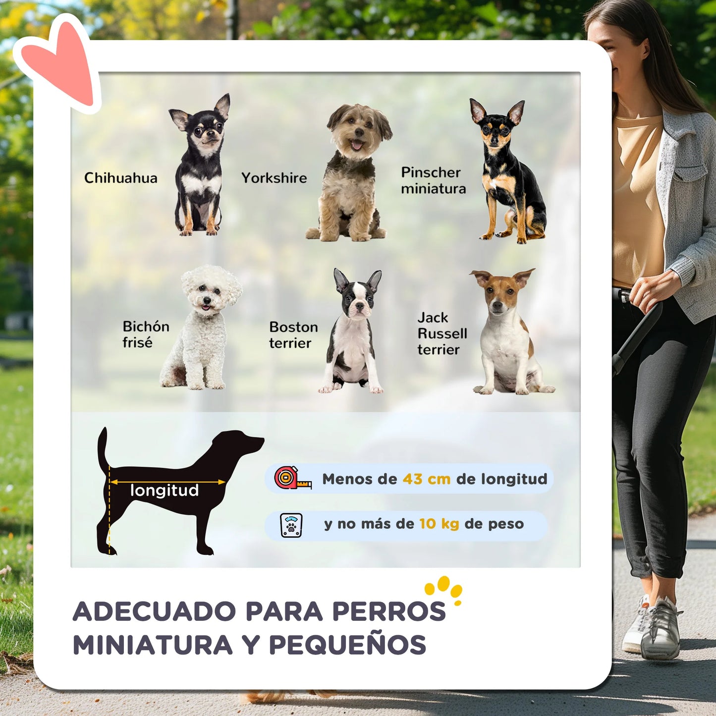 Carrito para perros plegable PawHut | Cochecito mascotas cómodo y seguro