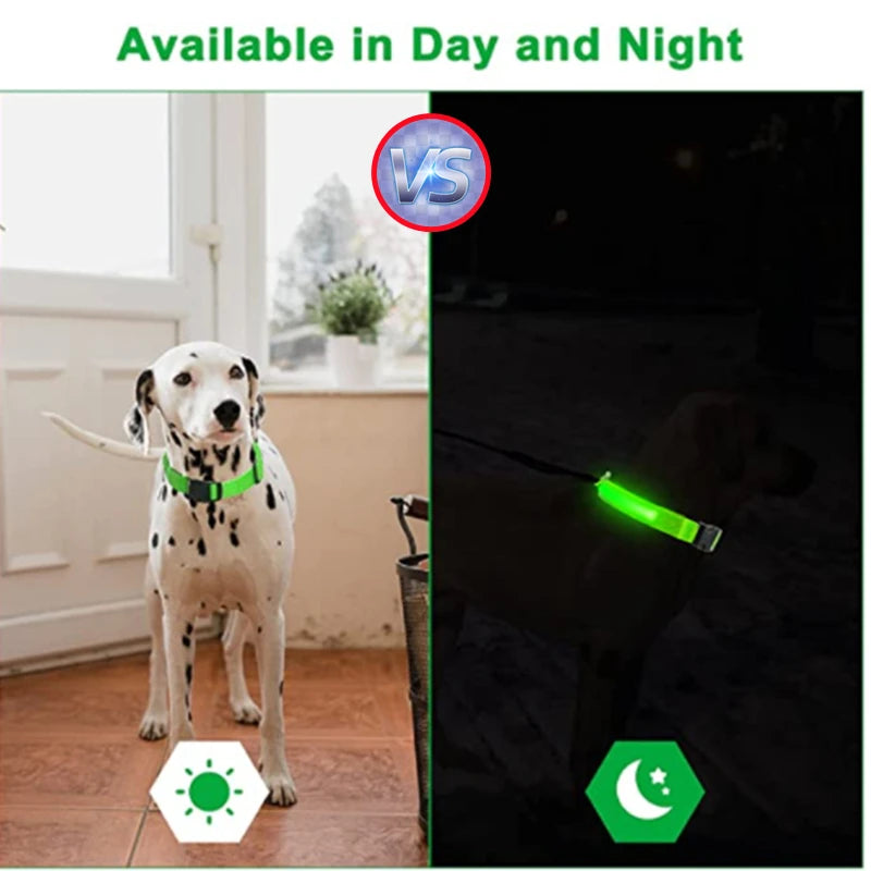 Collar LED Luminoso Recargable USB para Perros y Gatos – Ajustable, Seguro y Visible de Noche