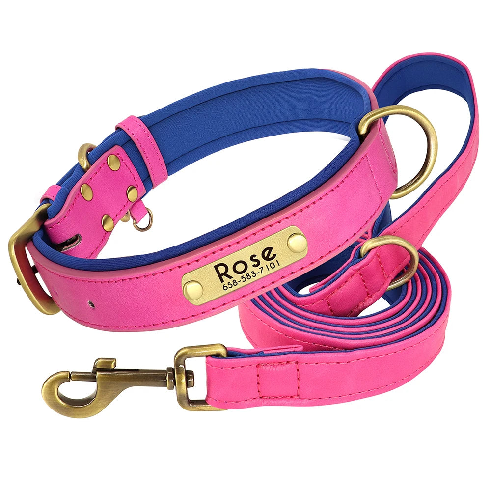 Collar y correa para perro personalizados | Cuero acolchado con placa grabada