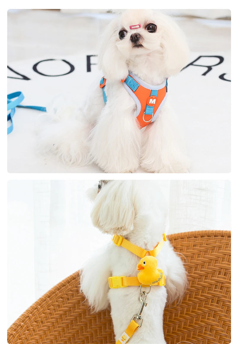 Arnés Ajustable para Perros y Gatos con Estampado Animal + Correa