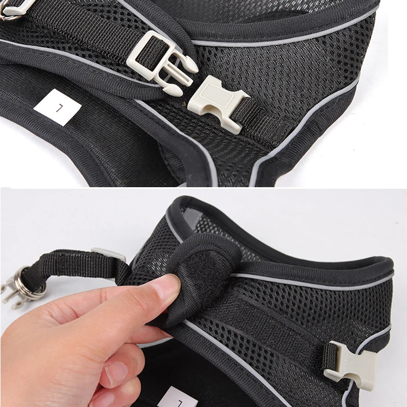 Arnés con Correa para Perros Pequeños y Gatos | Chaleco Ajustable Reflectante | Set Arnés + Correa para Chihuahua, Pug y Bulldog Francés