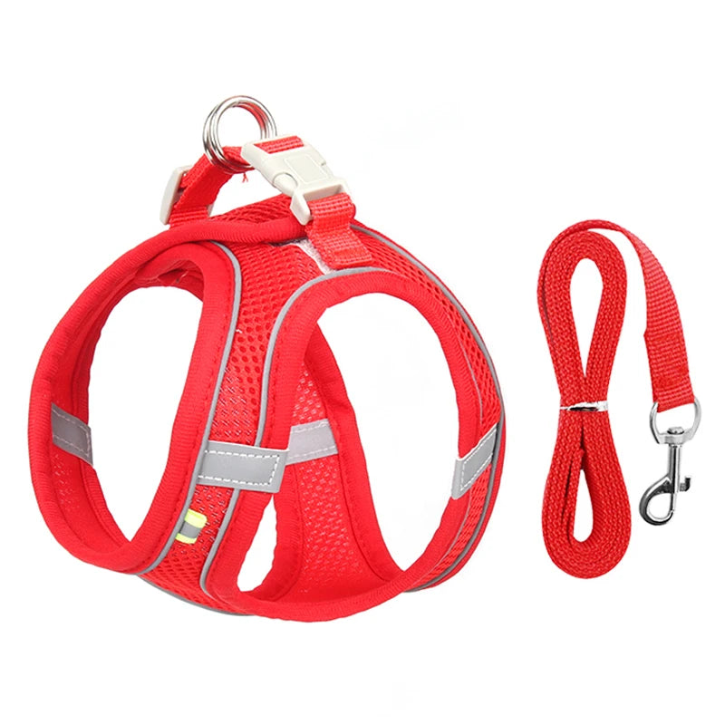 Arnés con Correa para Perros Pequeños y Gatos | Chaleco Ajustable Reflectante | Set Arnés + Correa para Chihuahua, Pug y Bulldog Francés