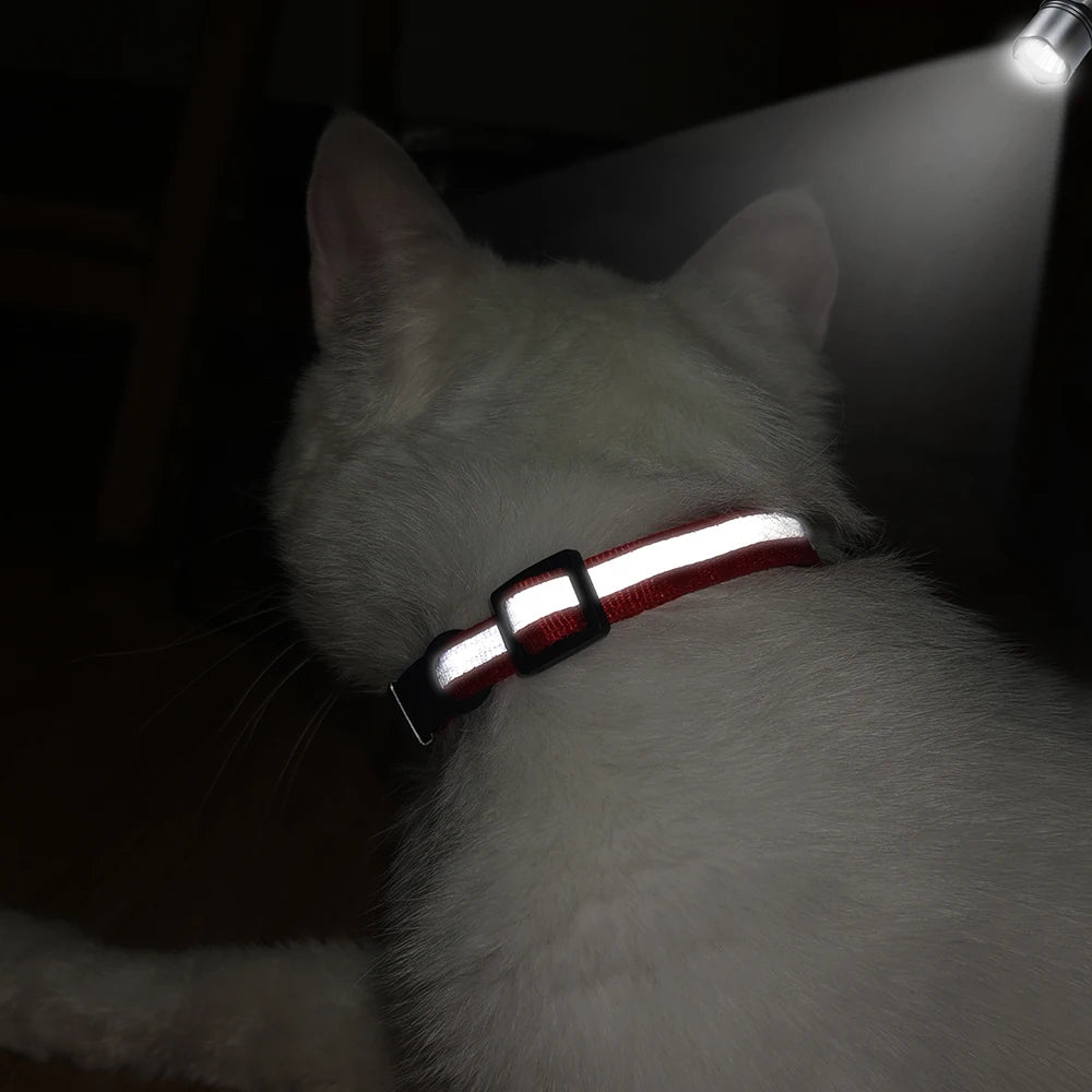 Collar Personalizado para Gato Reflectante con Placa Grabada y Campana | Anti-Pérdida Ajustable