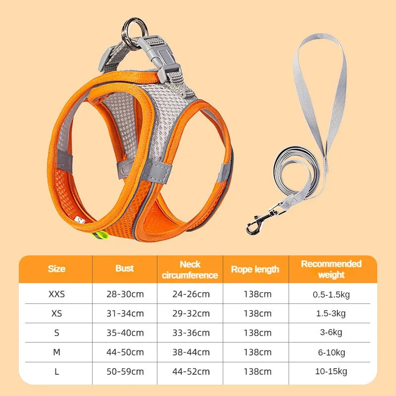 Comodidad, seguridad y estilo para tus mascotas 🐾