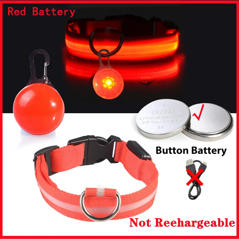 Collar Luminoso LED para Perros y Gatos | Reflectante, Ajustable y Seguro para la Noche