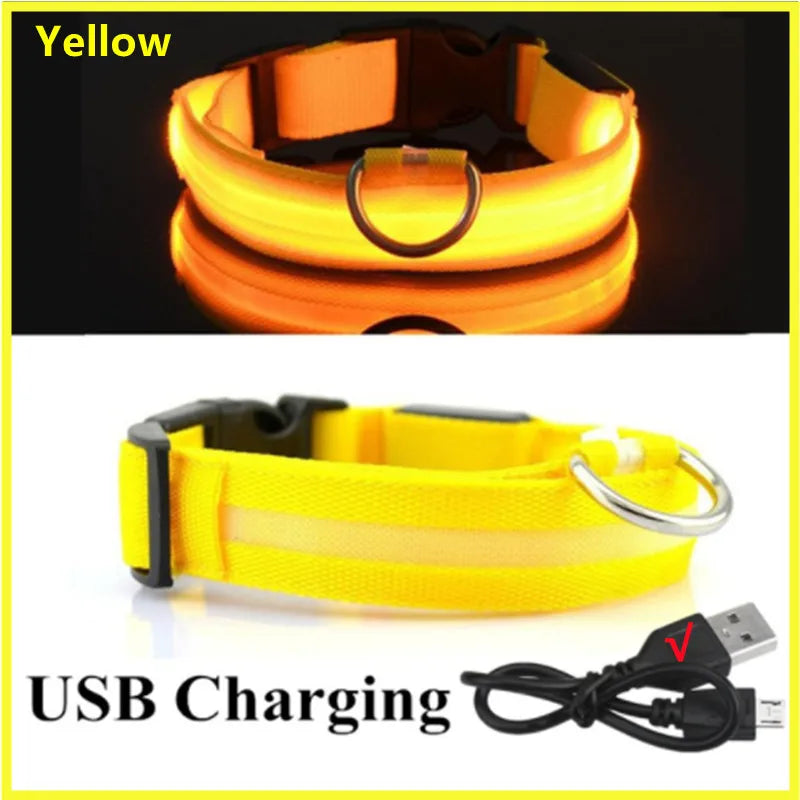 Collar LED Luminoso Recargable USB para Perros y Gatos – Ajustable, Seguro y Visible de Noche