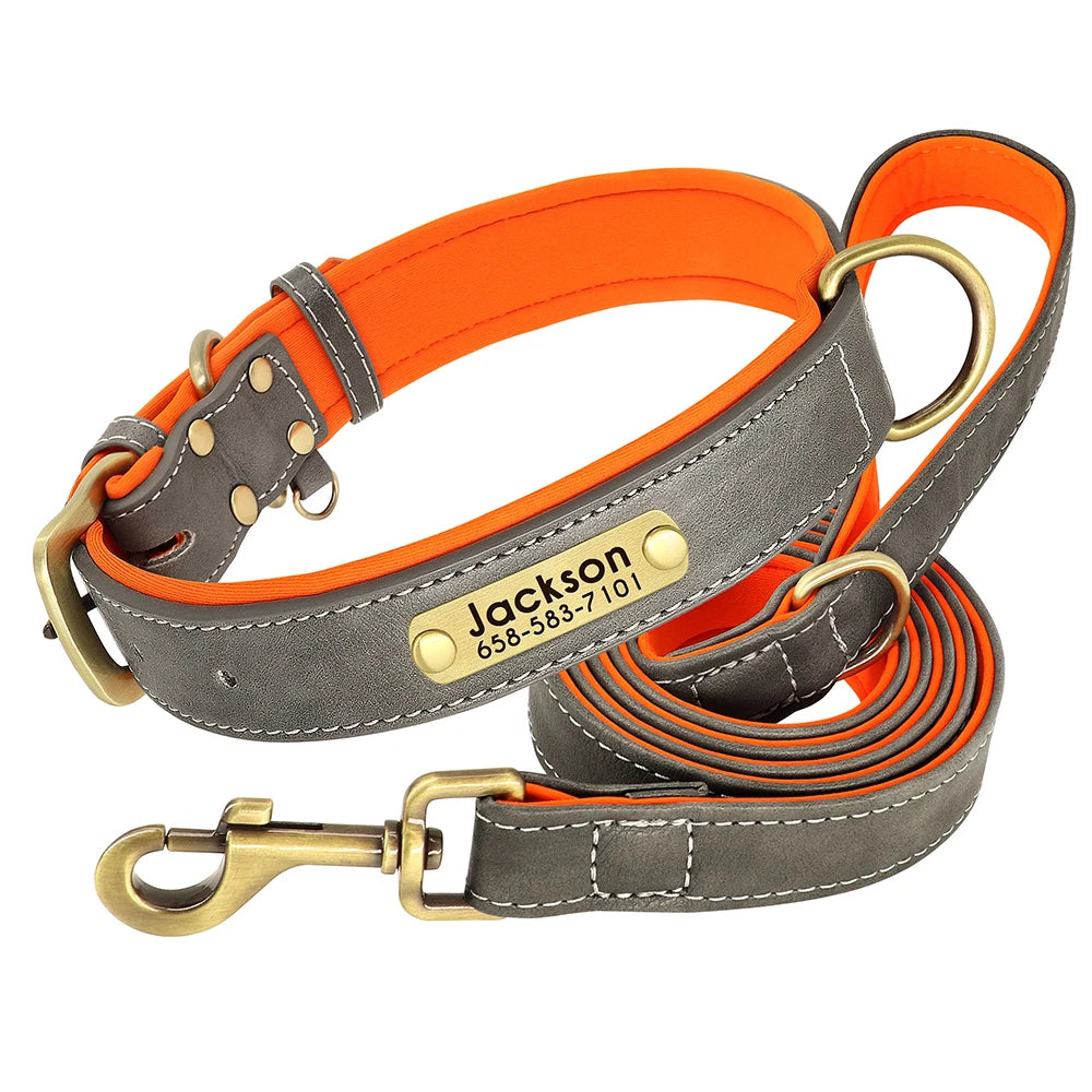 Collar y correa para perro personalizados | Cuero acolchado con placa grabada