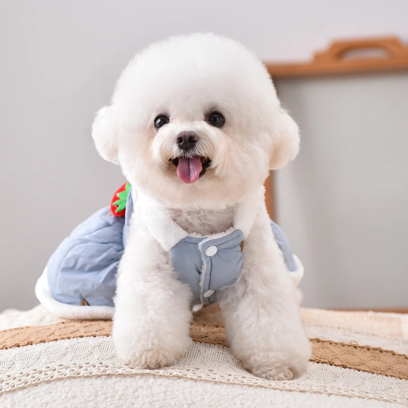 Ropa para Perros Pequeños Vestido con Arnés Fresa – Abrigo de Invierno para Chihuahua, Yorkshire y Gatos