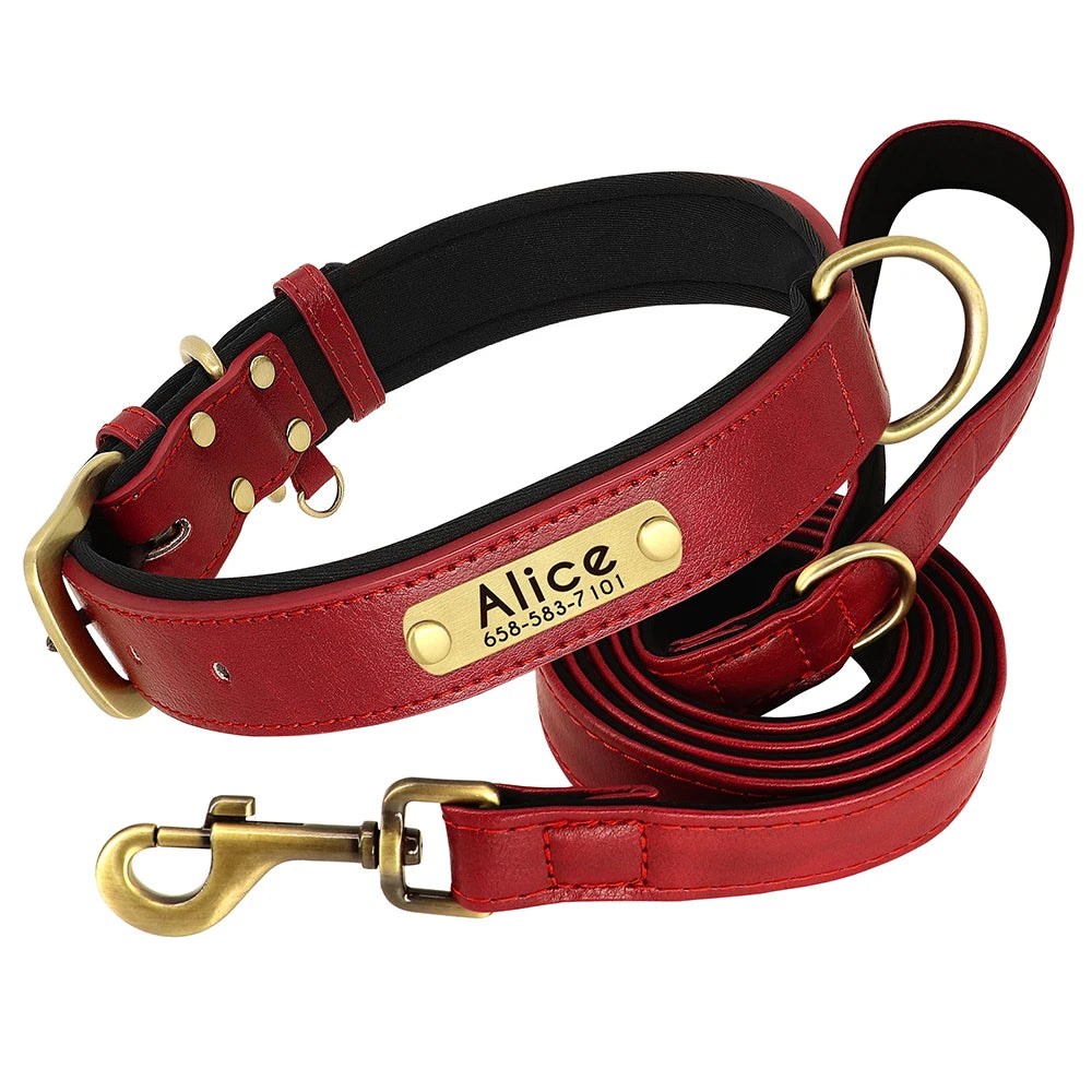 Collar y correa para perro personalizados | Cuero acolchado con placa grabada