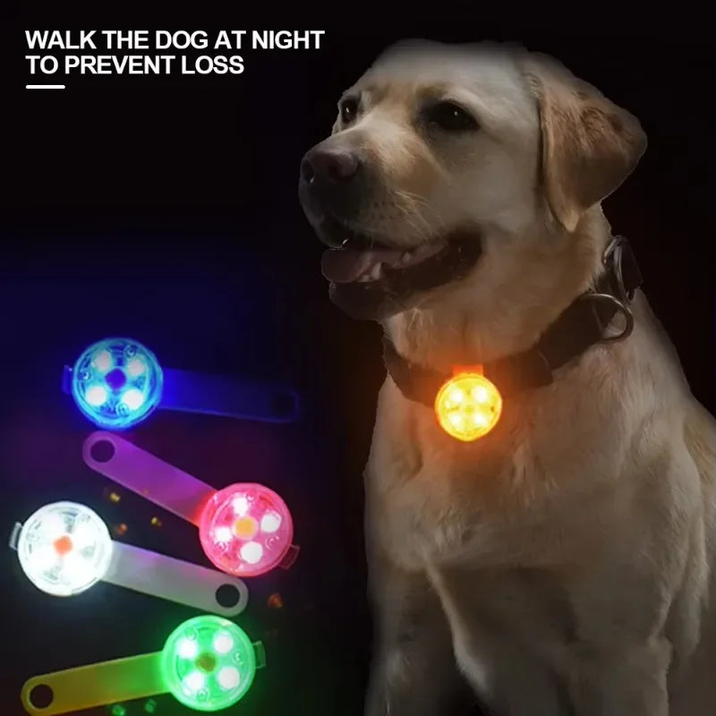 Collar LED de Seguridad para Perros y Gatos – Recargable por USB y Resistente al Clima