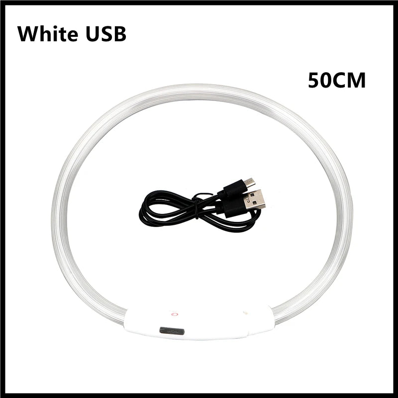 Collar LED Luminoso Recargable USB para Perros y Gatos – Ajustable, Seguro y Visible de Noche