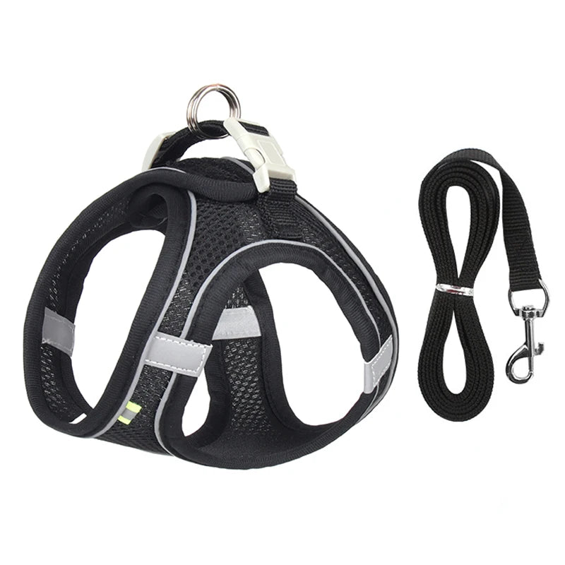Arnés con Correa para Perros Pequeños y Gatos | Chaleco Ajustable Reflectante | Set Arnés + Correa para Chihuahua, Pug y Bulldog Francés
