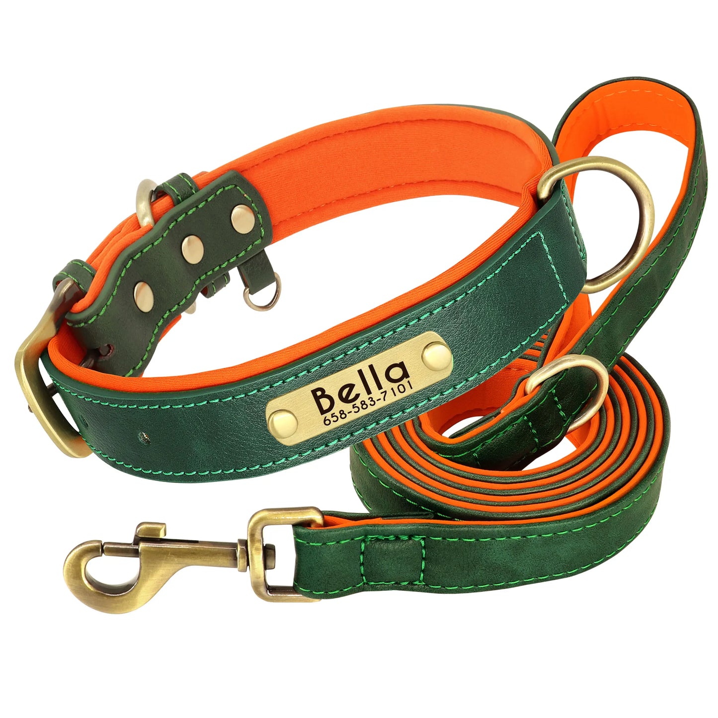 Collar y correa para perro personalizados | Cuero acolchado con placa grabada