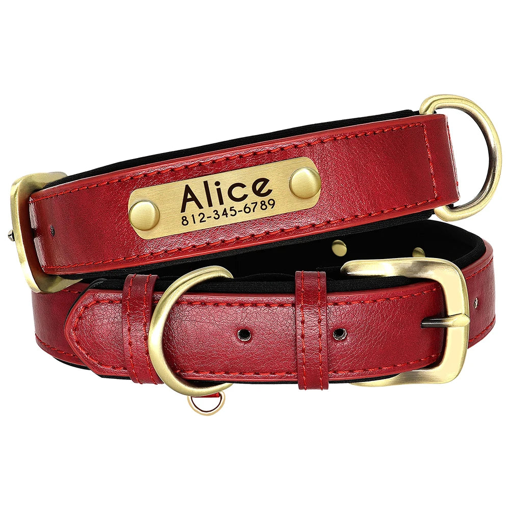 Collar y correa para perro personalizados | Cuero acolchado con placa grabada