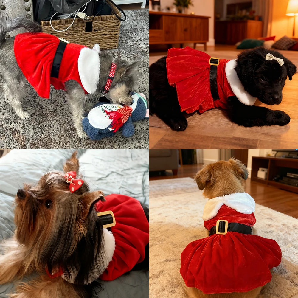 Vestido de Navidad Rojo para Perros y Gatos – Disfraz Princesa Festivo